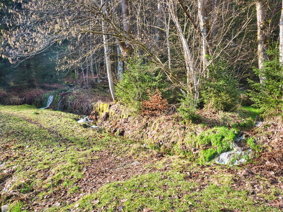 20220205202135-6f7884b8